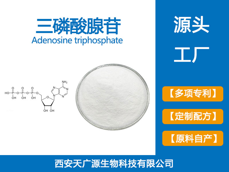 三磷酸腺苷（ATP）