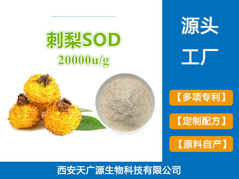 刺梨提取物 刺梨粉 刺梨sod20000u/g